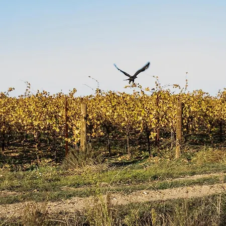 Alojaguay Rueda, Casa Museo Rústica-moderna, Máxima Tranquilidad Con Comodidad Casa de Férias