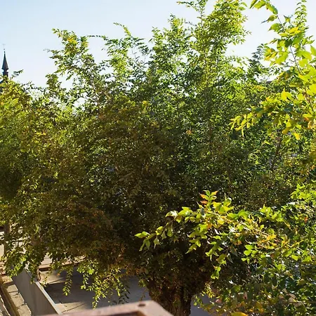 Casa de Férias Alojaguay Rueda, Casa Museo Rústica-moderna, Máxima Tranquilidad Con Comodidad Rueda